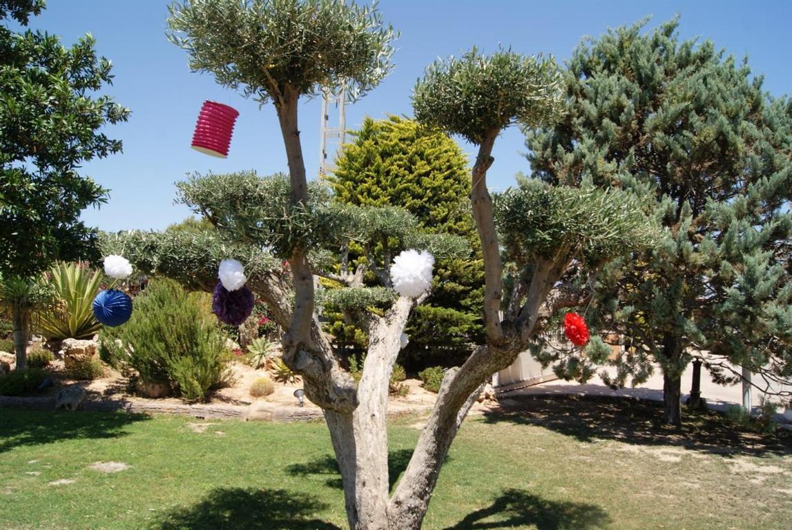 Los Jardines De Lola Daimés Екстериор снимка