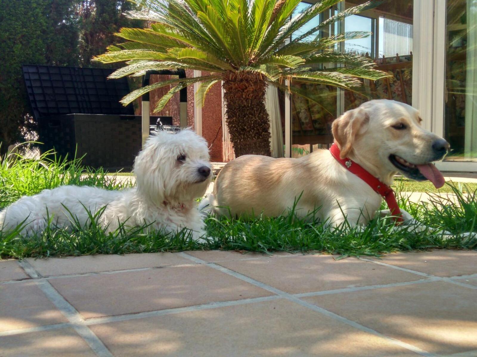 Los Jardines De Lola Daimés Екстериор снимка