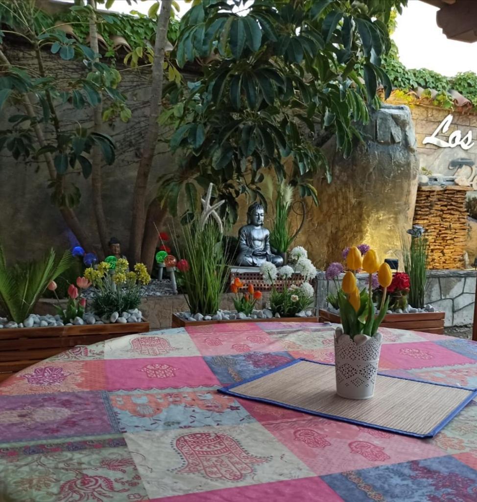 Los Jardines De Lola Daimés Екстериор снимка