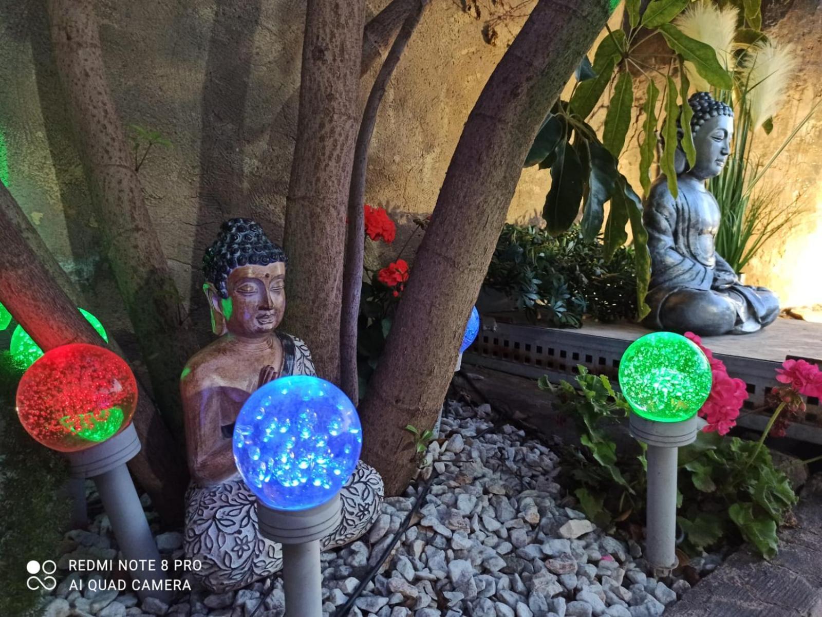 Los Jardines De Lola Daimés Екстериор снимка